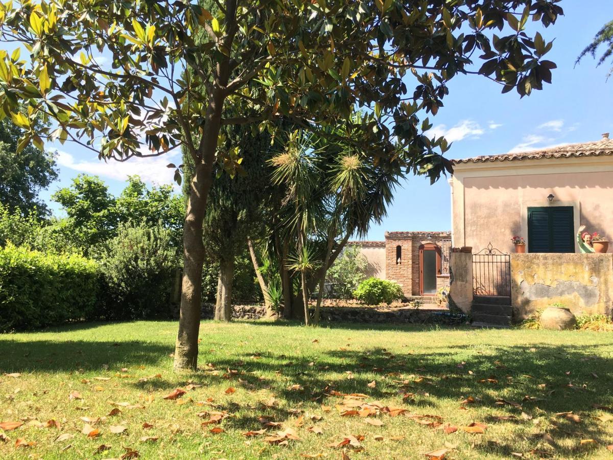 Bed And Breakfast Il Glicine Piedimonte Etneo Cameră foto