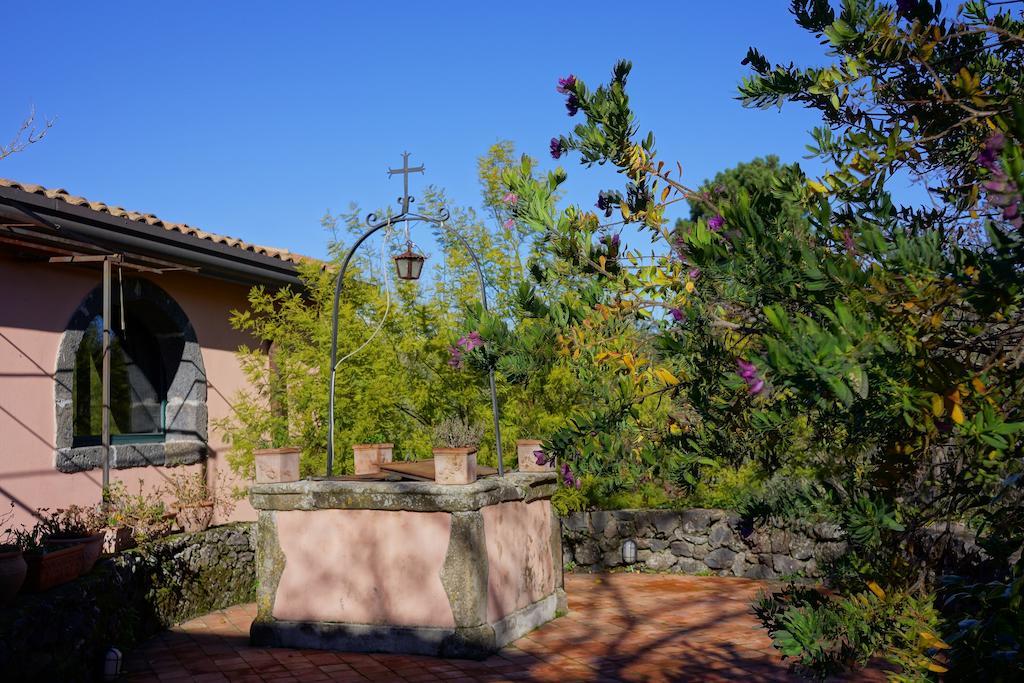 Bed And Breakfast Il Glicine Piedimonte Etneo Exterior foto